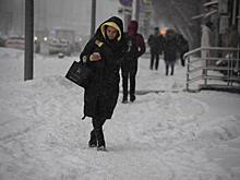 Москвичей ждет непогода и барическая пила