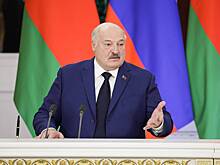 Лукашенко предложил решить одну проблему «по-военному»