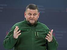 На Украине начали оформлять документы для назначения Залужного послом
