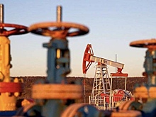 Япония впервые с 2023 года закупила у России нефть