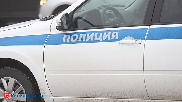 18-летняя кузнечанка потеряла более 800 тыс. рублей, заказав часы