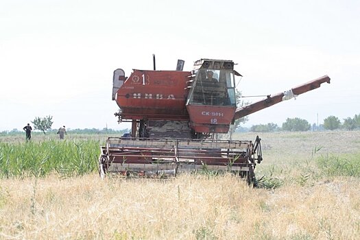 Большая часть сельхоз продукции Киргизии вывозится за рубеж