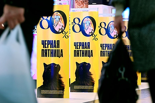 Минфин рассказал об уловках мошенников на распродажах в "черную пятницу"