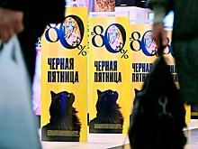 Минфин рассказал об уловках мошенников на распродажах в "черную пятницу"