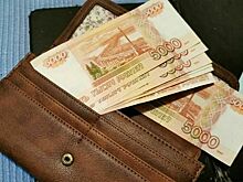 Дума заменяет для МСП штрафы на предупреждения за некоторые первые нарушения