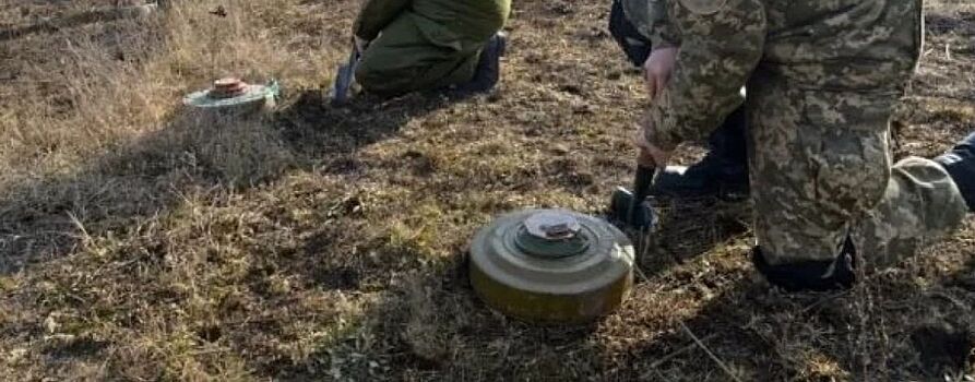 Guardian: Украинские военные отчаялись из-за количества мин перед укреплениями ВС РФ