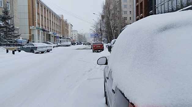 С начала года дворы и улицы Новосибирска избавили от 17 автомобилей-подснежников