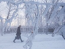 От морозов в Италии погибли восемь человек