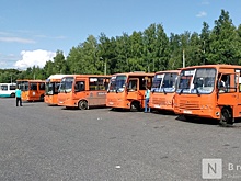 В Минтрансе пояснили, кто может бесплатно ездить на общественном транспорте в Нижегородской области