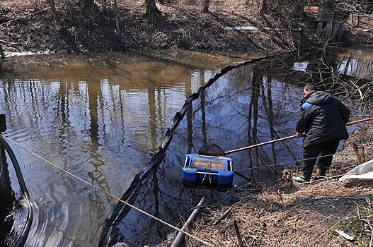 Разлив нефти произошел в российском регионе