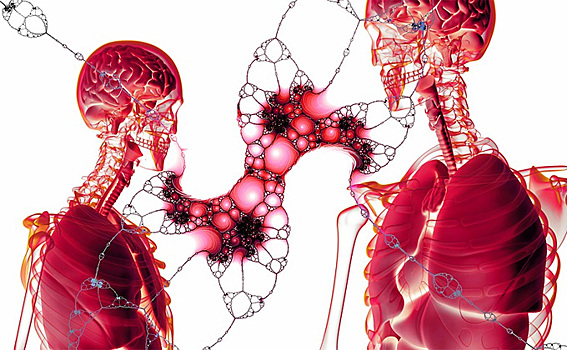 Выявлять рак легких по крови научились ученые Новосибирска