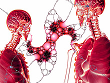 Выявлять рак легких по крови научились ученые Новосибирска