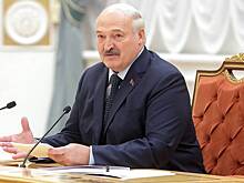Лукашенко наколол дров перед саммитом СНГ