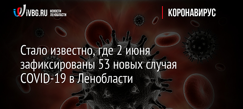 Стало известно, где 2 июня зафиксированы 53 новых случая COVID-19 в Ленобласти