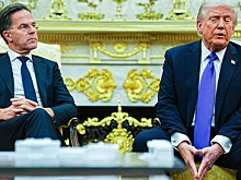 Генсек НАТО не стал делиться деталями разговора с Трампом о Гренландии