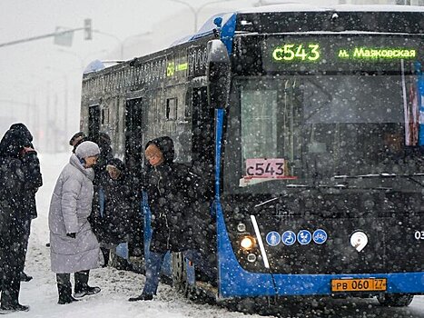 Москвичей призвали пересесть на городской транспорт из-за локальных затруднений