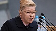 Мизулина раскритиковала инициативу о введении налога на бездетность