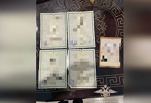 Новосибирская банда получала выплаты на несуществующих детей в 59 регионах России