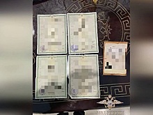 Новосибирская банда получала выплаты на несуществующих детей в 59 регионах России