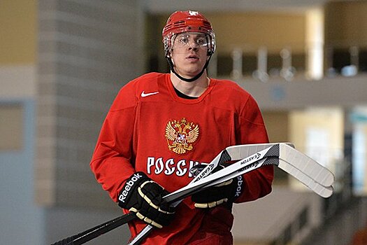Малкин и Хэмоник едва не подрались