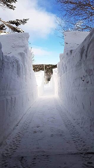 Дорога в Ньюфаундленде.