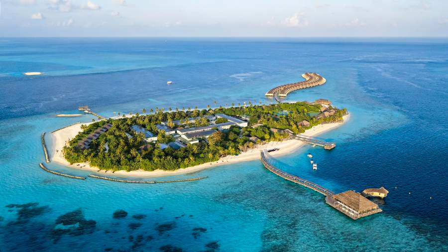 Акула напала на 15-летнюю российскую туристку на Мальдивах