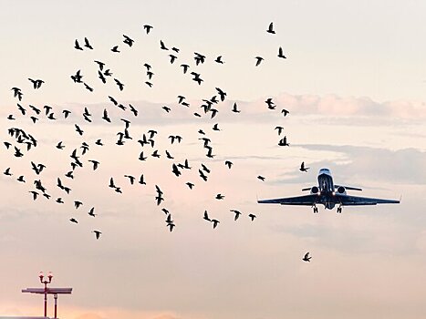Один человек погиб при столкновении двух самолетов в аэропорту в Аризоне