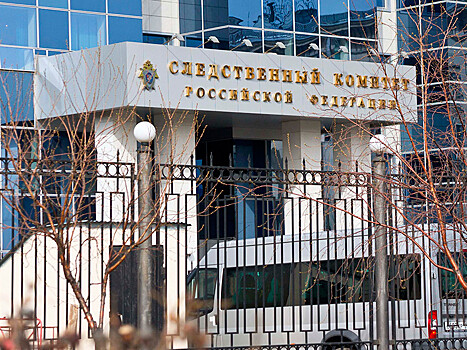 Следственный комитет РФ открыл горячую линию для жалоб о давлении на бизнесменов