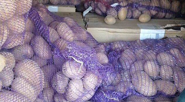 Пограничники изъяли из грузовика под Псковом контрабанду сигарет на 5,4 млн руб