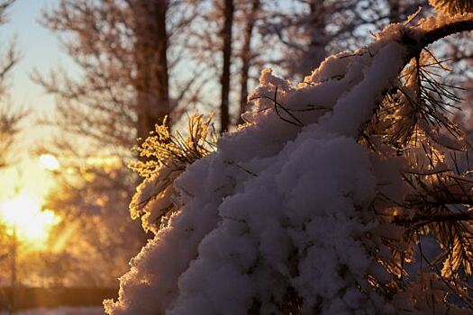 В Курганской области ожидаются снегопады и морозы до -31 градуса