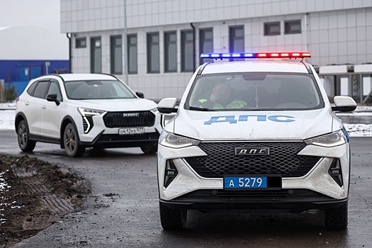 В Петербурге запущен чат-бот для выявления пьяных и несовершеннолетних водителей