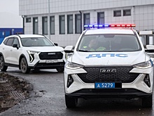 В Петербурге запущен чат-бот для выявления пьяных и несовершеннолетних водителей