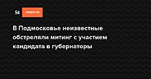 В Подмосковье неизвестные обстреляли митинг с участием кандидата в губернаторы