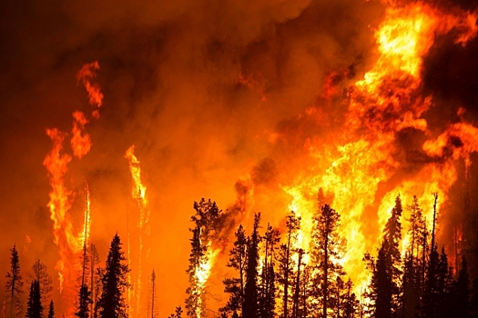 В Бурятии лесной пожар бушует в 63 км от посёлка