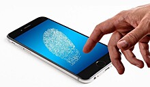 «Живые» данные: можно ли воспользоваться чужой биометрией и стоит ли бояться ее утечки
