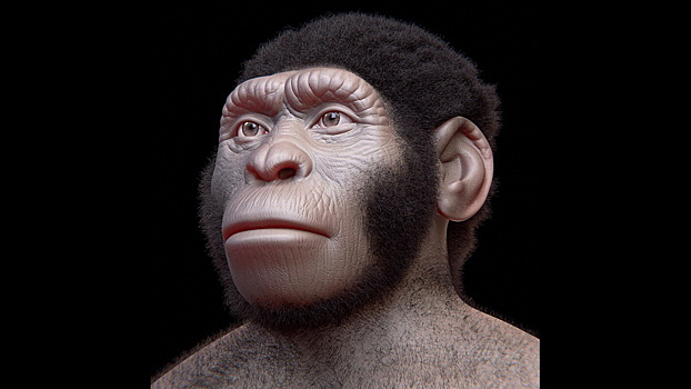 «Примитивные» Homo naledi все же делали похороны: доказательства скандальной гипотезы