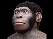 «Примитивные» Homo naledi все же делали похороны: доказательства скандальной гипотезы
