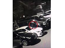 Появилось видео поджога автомобиля в Приморье