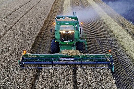 Минсельхоз выступает против отмены экспортных пошлин на зерно