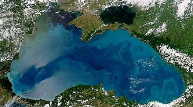 Что удалось найти ученым на дне Черного моря в конце XIX века