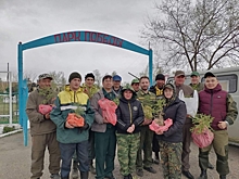 Акция «Сад памяти» состоялась в Кыринском районе