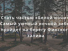 Стать частью "Белой ночи": самый уютный ночной забег пройдет на берегу Финского залива