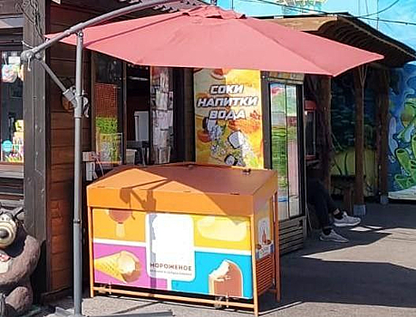 Девочки-подростки украли 77 пачек мороженого в парке в Кузбассе