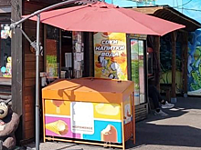 Девочки-подростки украли 77 пачек мороженого в парке в Кузбассе