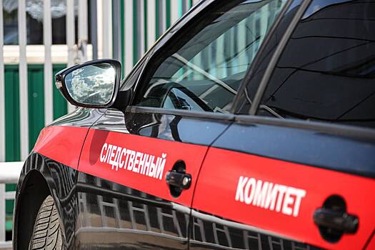 Грузинский доброволец прошел обучение в ВСУ ради войны с Российской армией