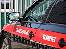 Против журналистки Таратуты начали расследование из-за иноагентства