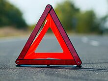 Совфед одобрил закон об увеличении выплат по европротоколу