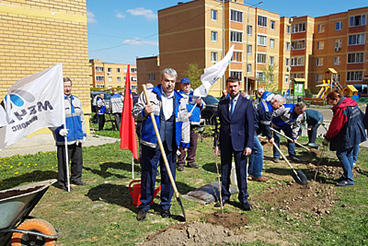 Работники «Москокса» высадили аллею сирени в одном из микрорайнов Видного