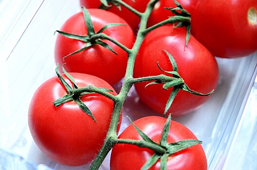 Россия разрешила ввоз томатов одного предприятия Азербайджана
