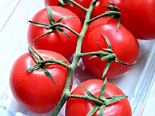 Россия разрешила ввоз томатов одного предприятия Азербайджана